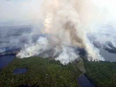 forest fire