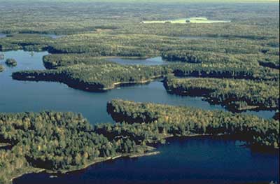 BWCA aerial view