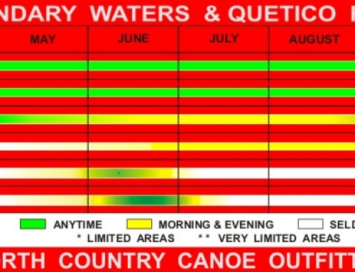 When Should I Visit Ely, Minnesota and the BWCA?